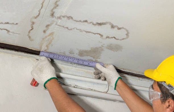 Reliable Sewage Cleanup contractor in Lincoln Park, MI by Water Damage Irwin